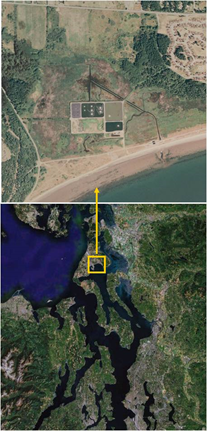 SSM Habitat Restoration: Crescent Harbor